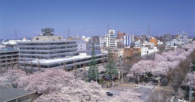 🏛️ 사가미하라 시립 박물관 (사가미하라시리츠하쿠부츠칸) 이미지 2